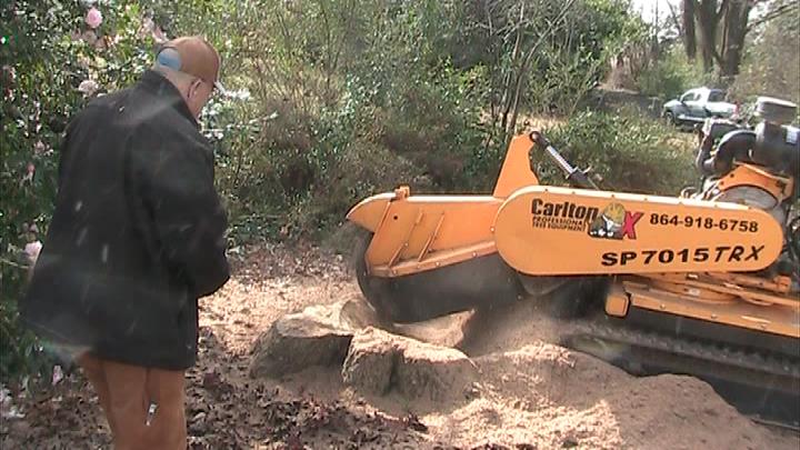 Stump Grinder Service